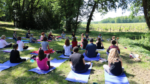 Cours de yoga en plein air aux pieds des vignes 