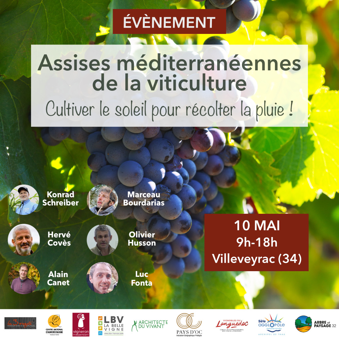 Assises méditerranéenne de la viticulture